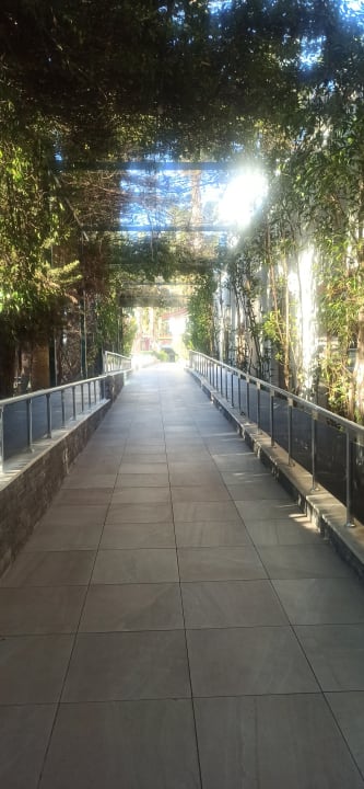 Gartenanlage Hane Family Resort