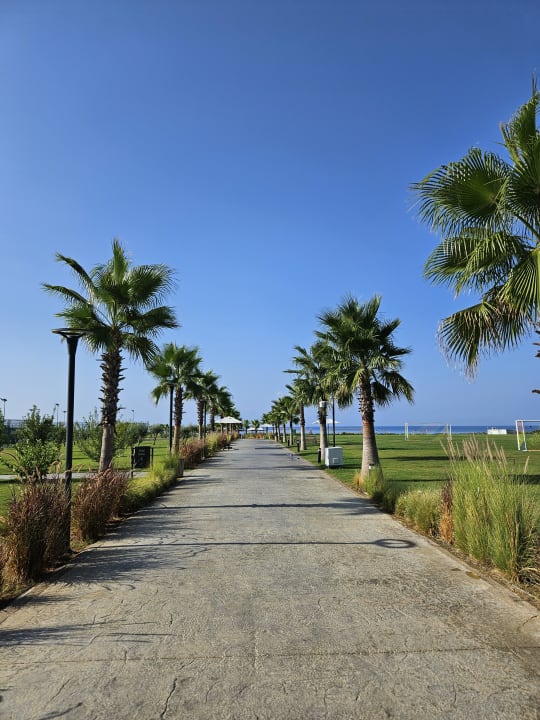 Gartenanlage Jacaranda Luxury Resort