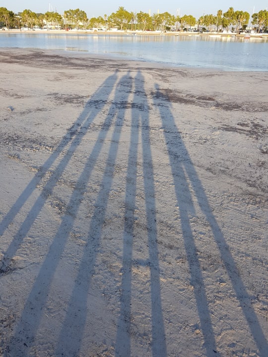 Strand Alcudia Garden Aparthotel