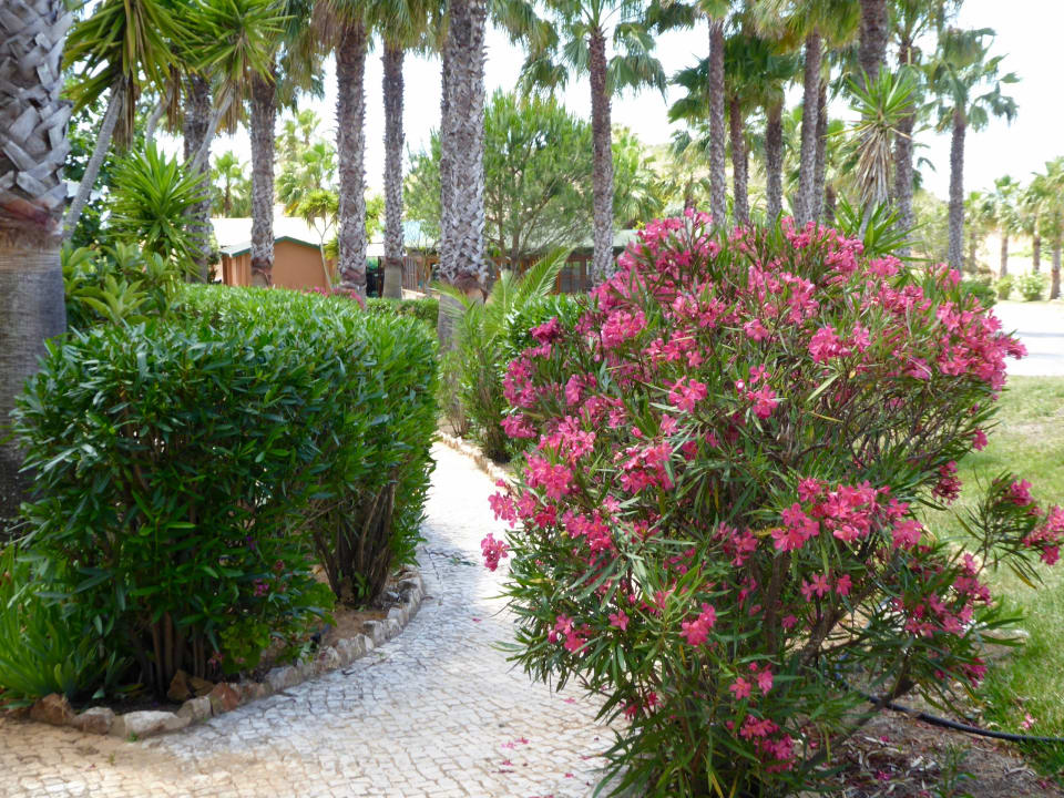 Außenansicht Quinta do Mar - Country & Sea Village
