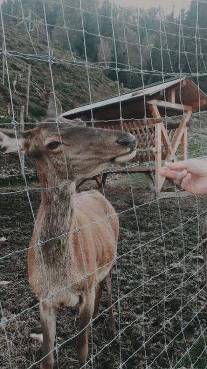 Gartenanlage Naturhotel Forsthofgut