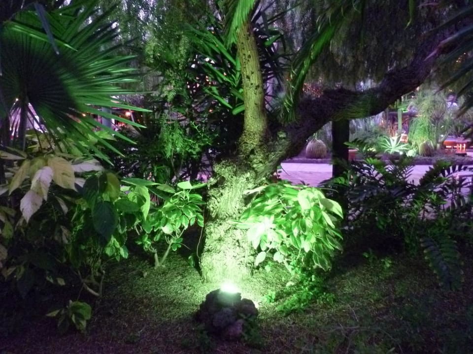 Nett Hotel Parque Tropical