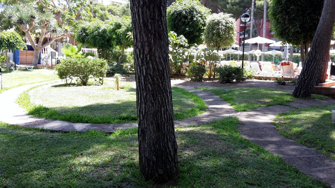 Man findet immer ein schattiges Plätzchen Hotel Riu Festival