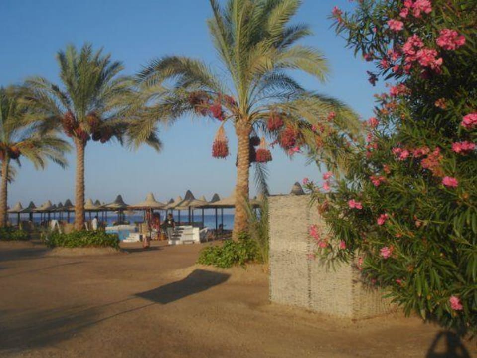 Umkleidekabine Steigenberger Coraya Beach - Adults only