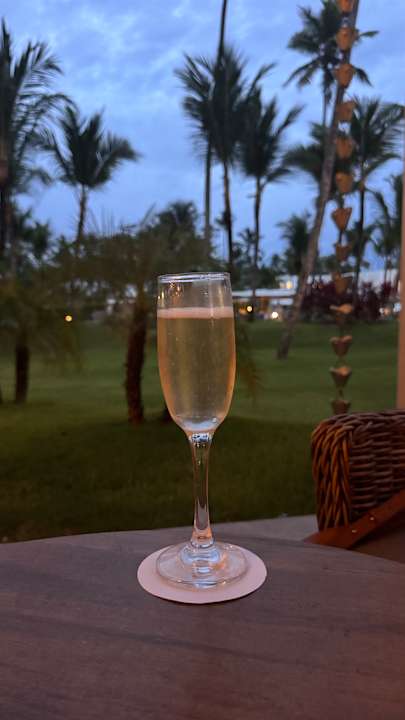 Gartenanlage Hotel Riu Palace Macao - Adults only