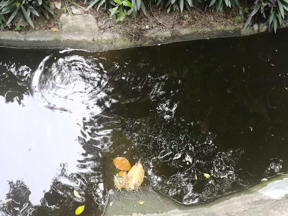 Gartenanlage Crystal Bay Yacht Club Beach Resort