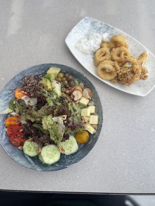 Gastro Paloma Finesse