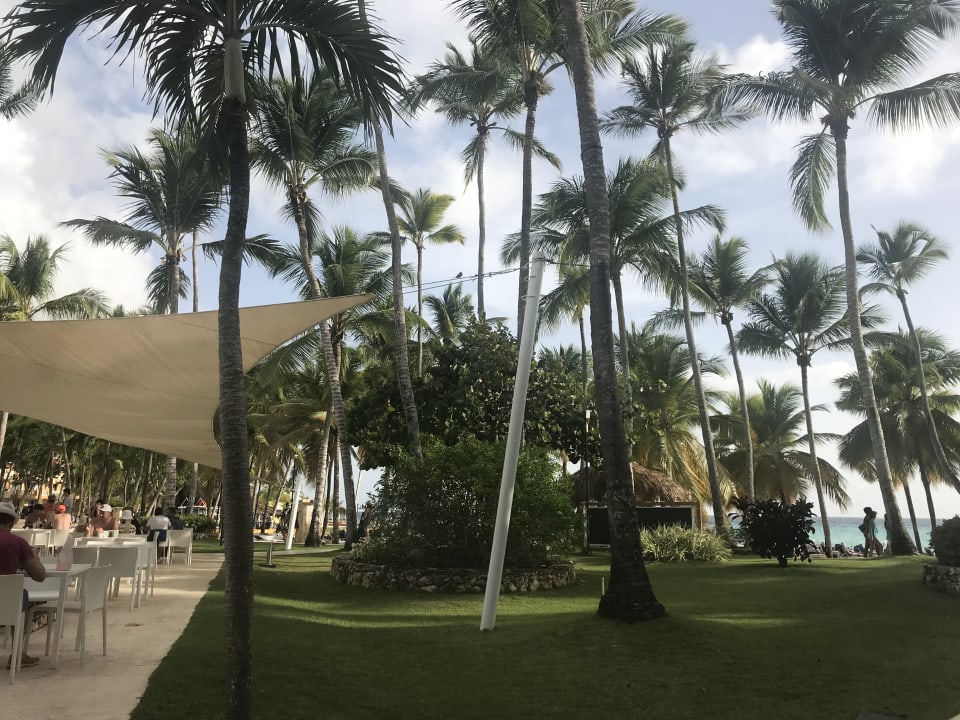 Gartenanlage Hotel Viva Dominicus Beach by Wyndham - All Inclusive Resort