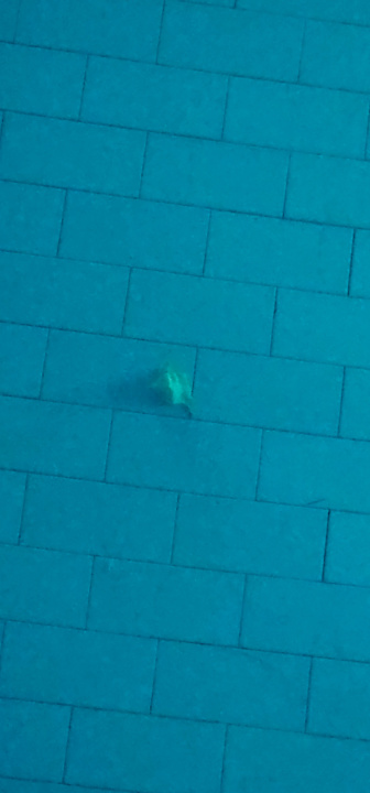 Pool Bliss Nada Beach Resort