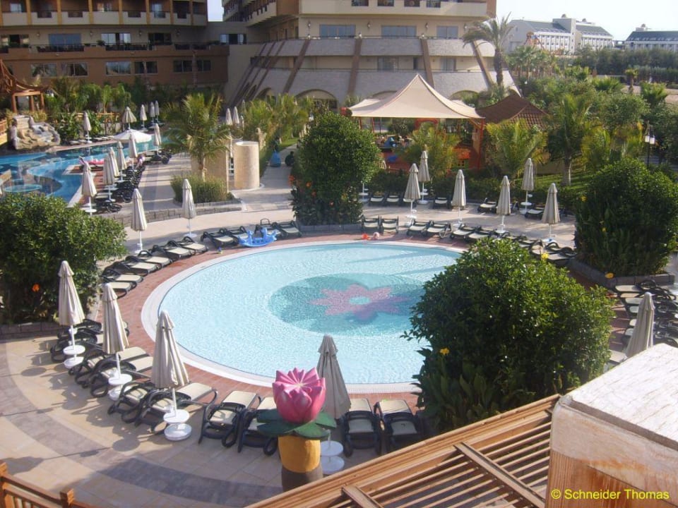 Babypool Hotel Royal Dragon