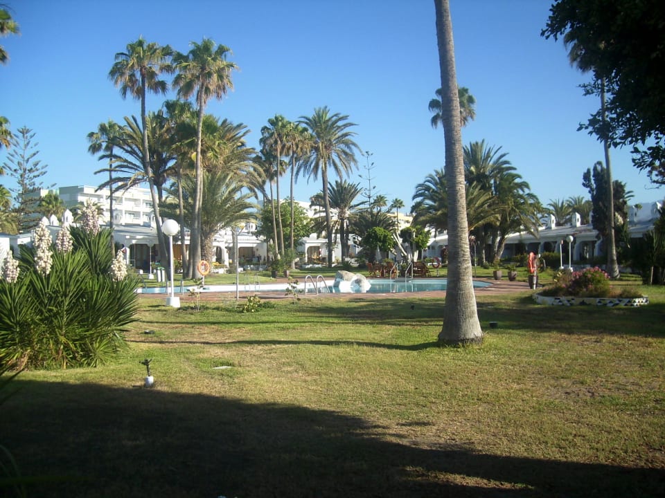 Blick zum Pool Sahara Beach Club