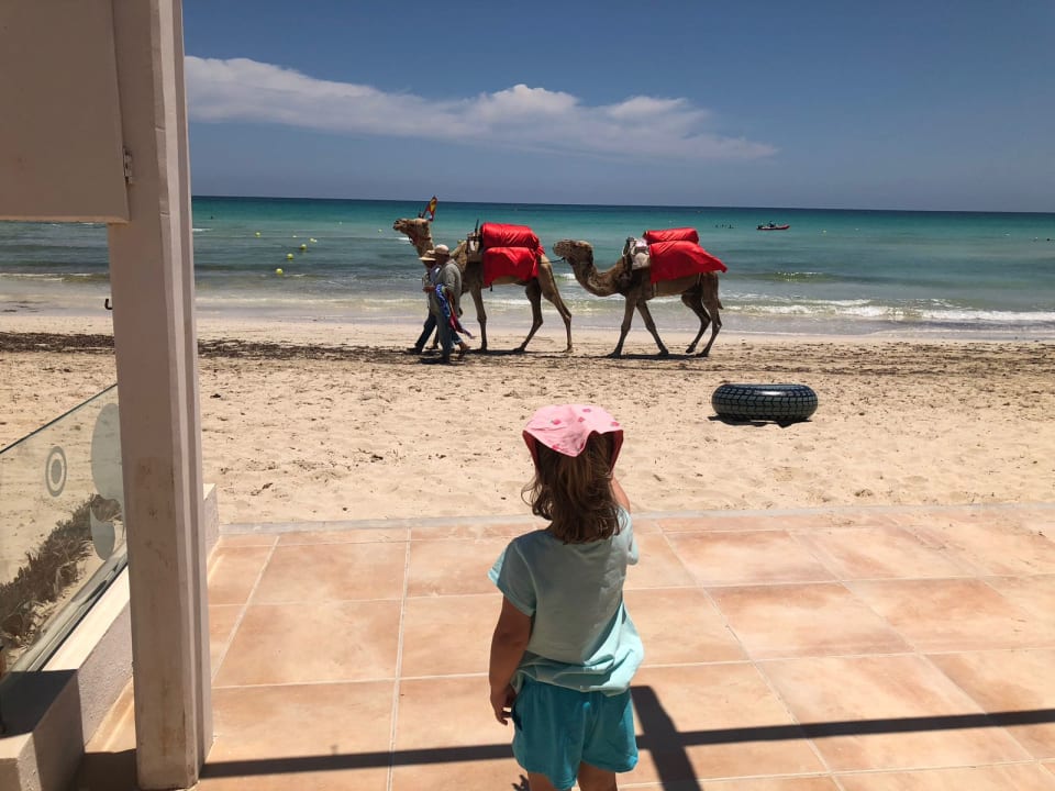 Strand ROBINSON DJERBA BAHIYA