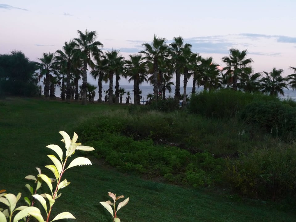 Aussicht aus der Stranbar Club Grand Side