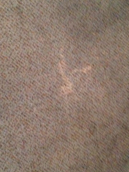 So sauber ist der Teppich Tulip Inn Ludwigshafen City