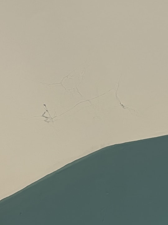 Zimmer Well Palace Side