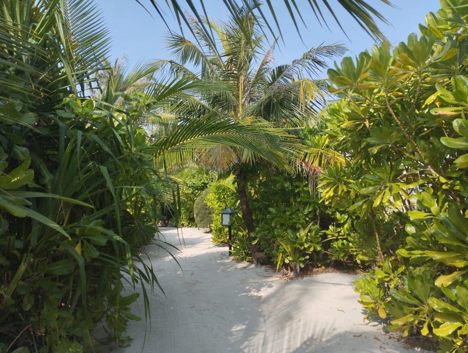 Gartenanlage Kuredu Island Resort & Spa