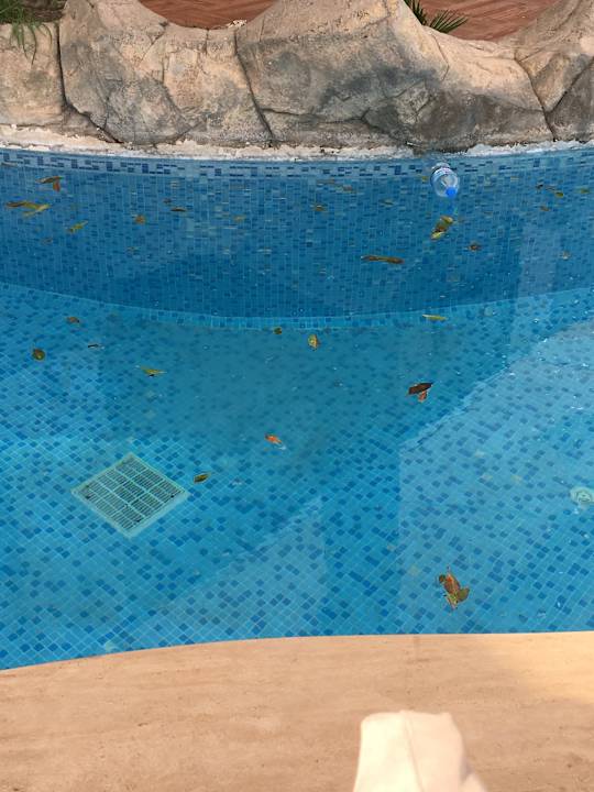 Pool Jura Hotels Bodrum Resort