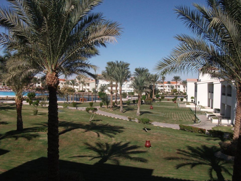 Сад Pickalbatros Dana Beach Resort - Hurghada