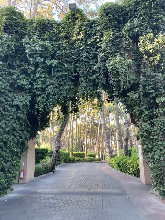 Gartenanlage Turquoise Hotel