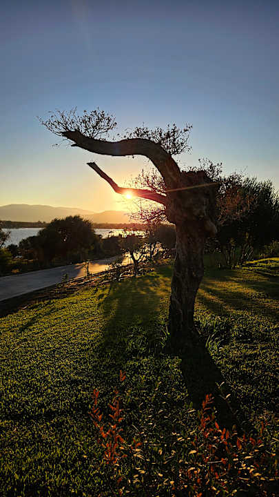 Gartenanlage Anda Barut Collection