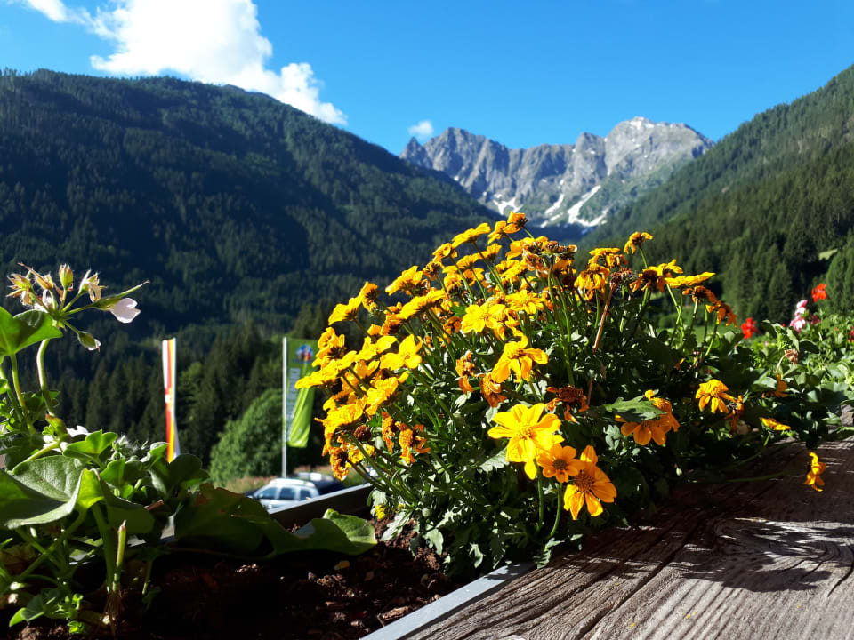 Ausblick Alpenhotel Wanderniki