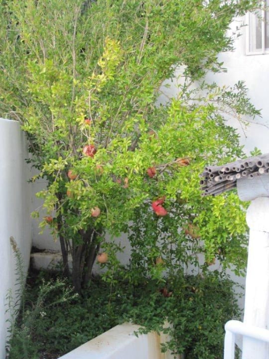 Terrassenbereich mit Treppe zum Hintereingang Hotel Ossidiana