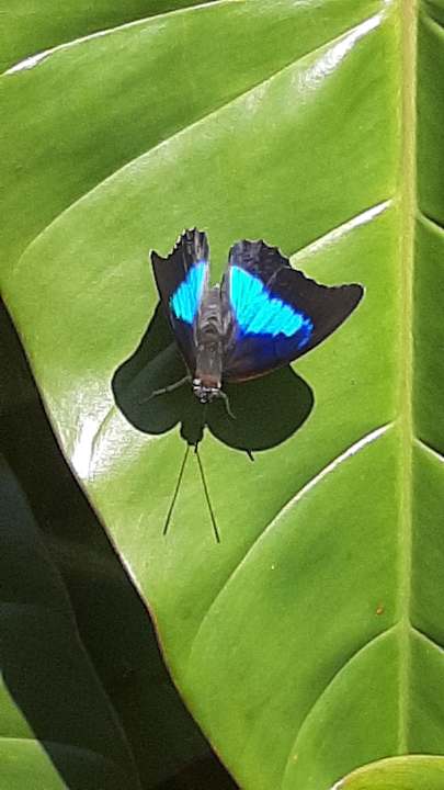 Sonstiges Historias Lodge Monteverde