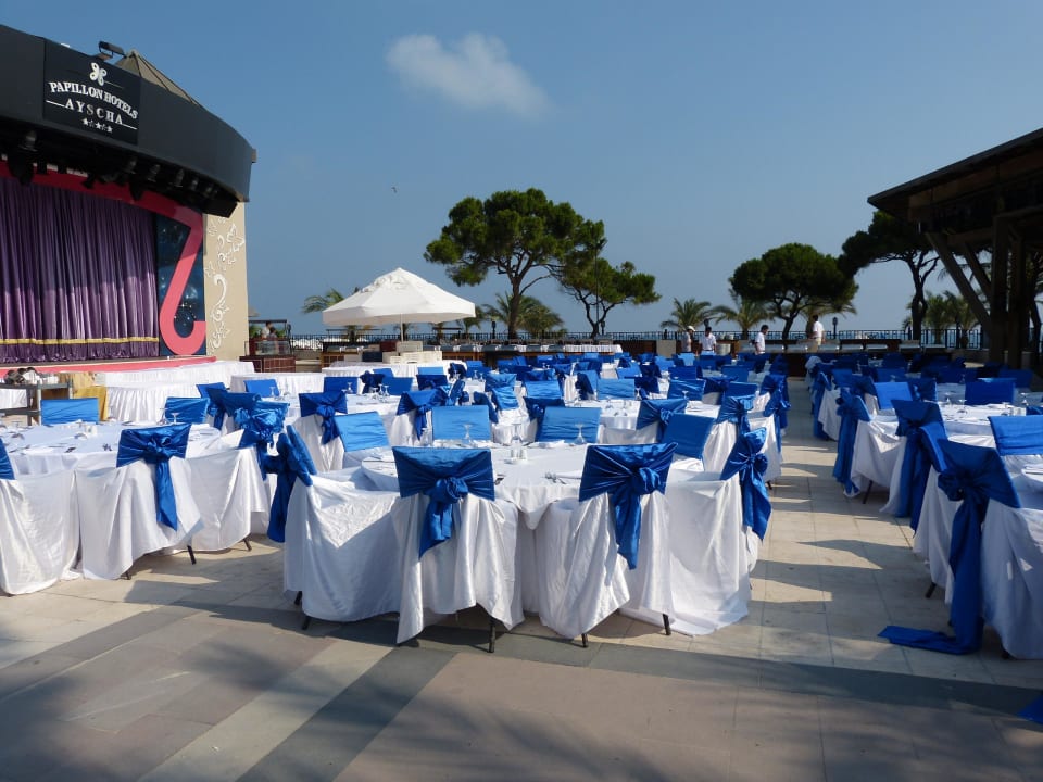 Galaabend Papillon Ayscha