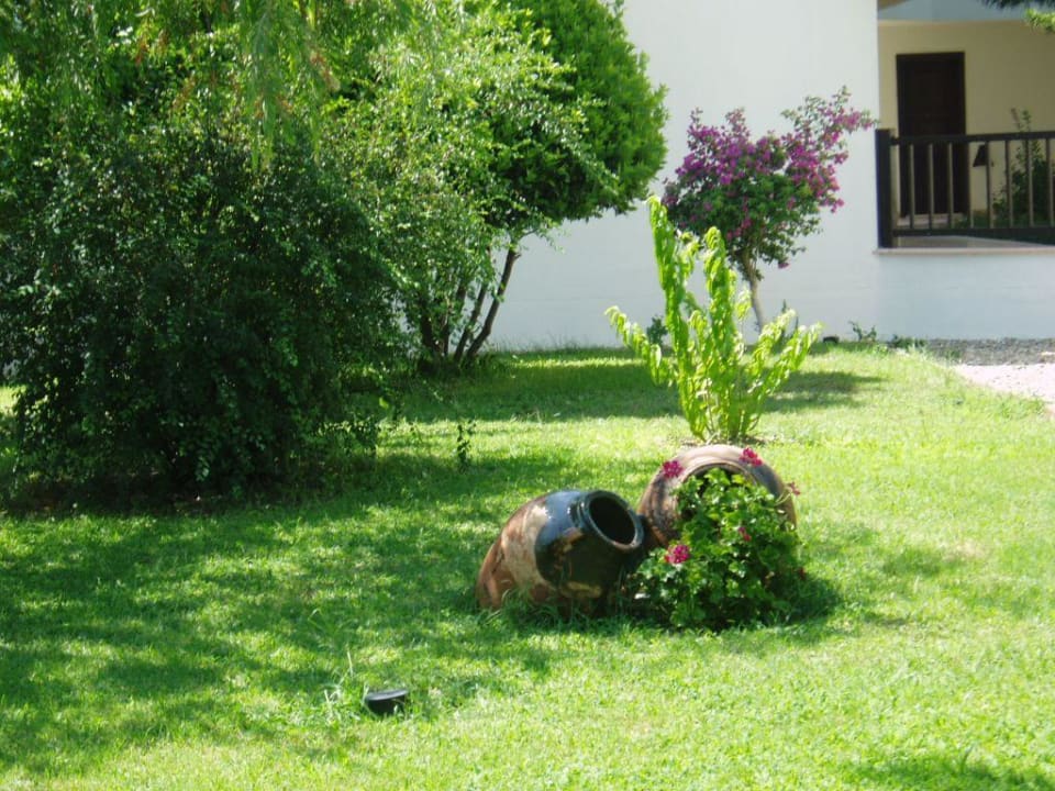 Otoczenie hotelu Hotel Club Nena