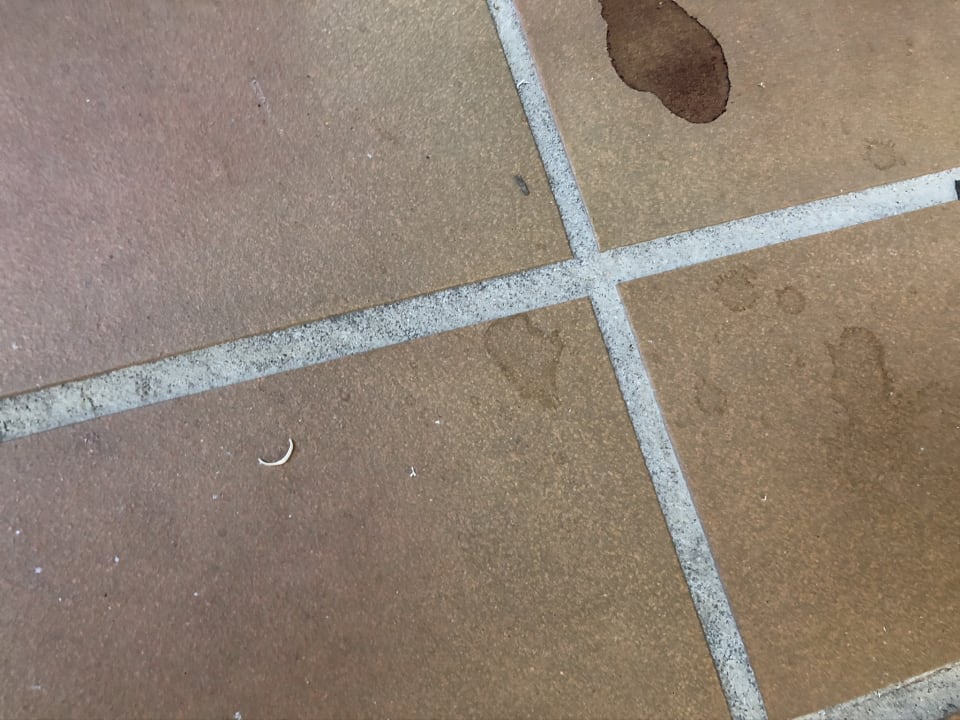 Zimmer Hotel Edelweiß