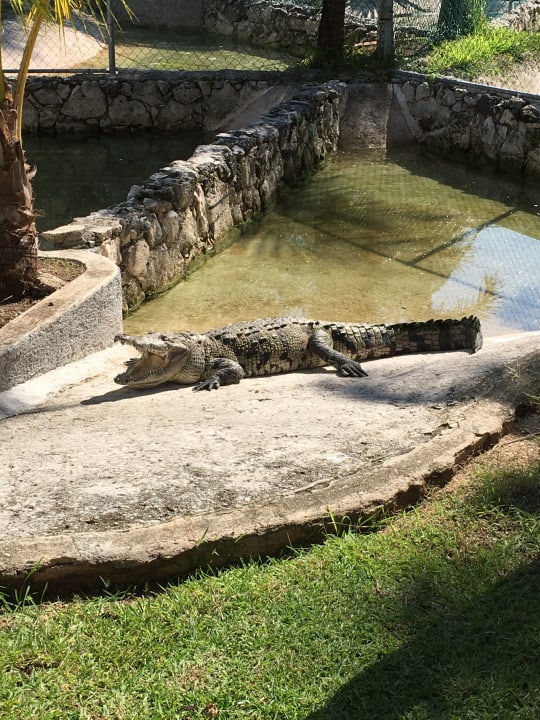 Sonstiges Grand Palladium Kantenah Resort & Spa