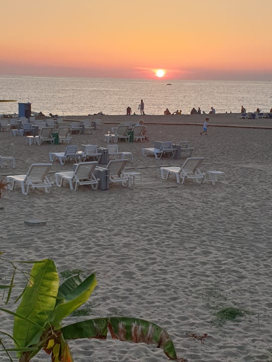 Strand Hotel Aslan City Kleopatra