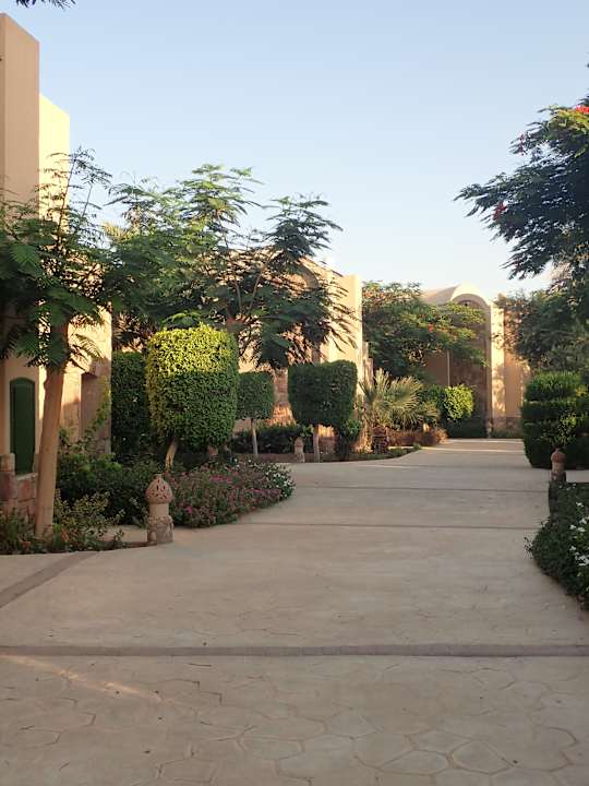 Gartenanlage Shams Alam Beach Resort