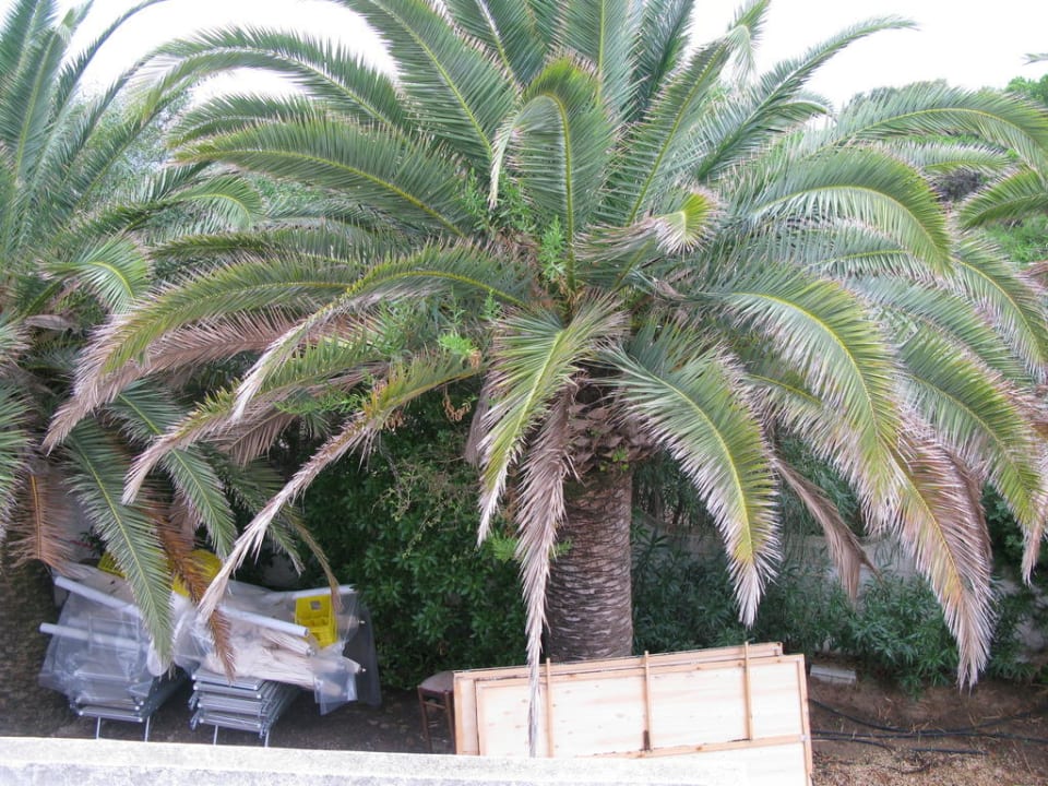 Zimmer 112 Hotel Flamingo Resort