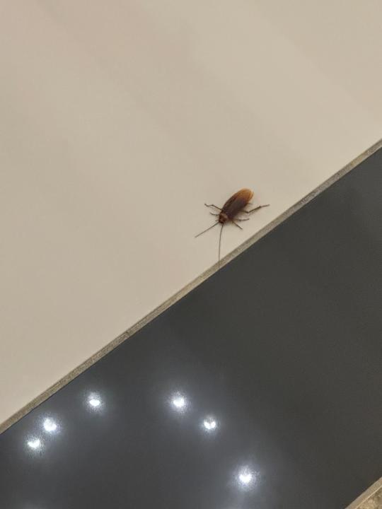 Sonstiges Can Garden Resort