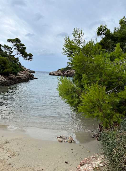 Strand Calimera Fido Gardens