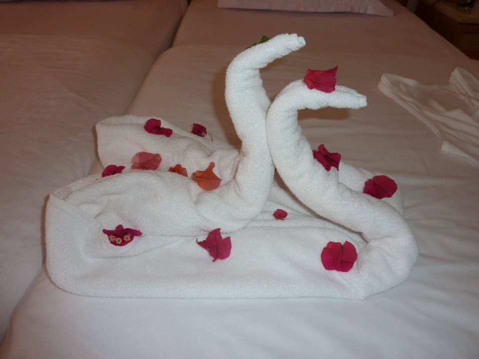 Handtuchdeko TUI MAGIC LIFE Africana