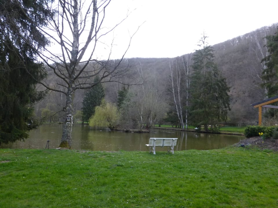 Ausblick Land-gut-Hotel Forellenhof