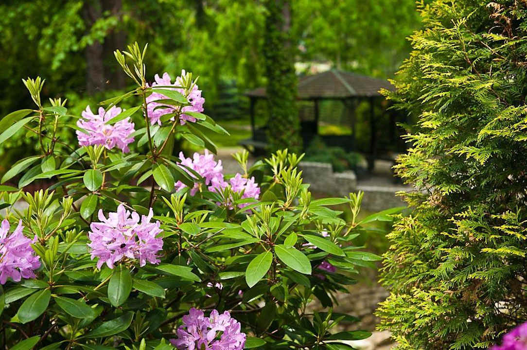 Garten vom Haus Eichendorff-Dębowy Dwór Dębowy Dwór