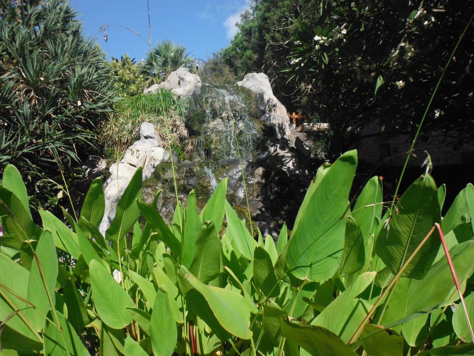 Wasserfall Hotel Catalonia Punta del Rey