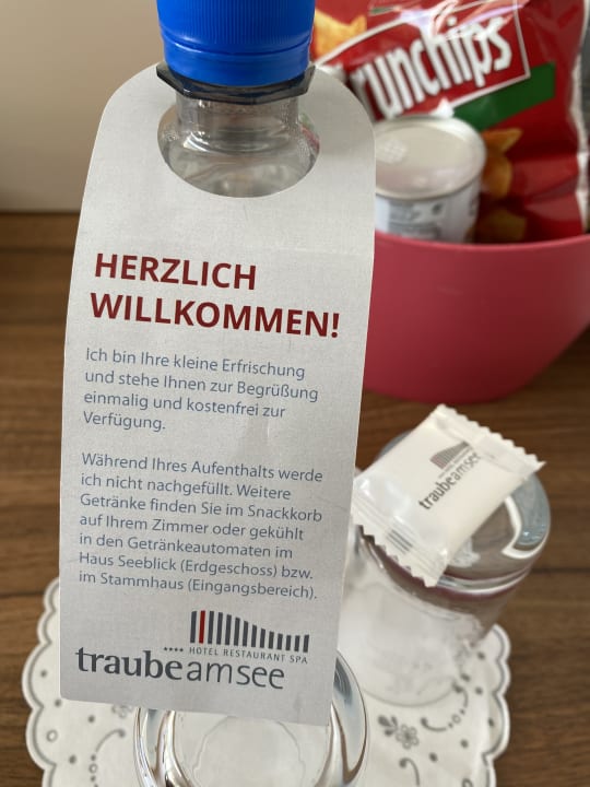 Gastro Hotel Traube am See