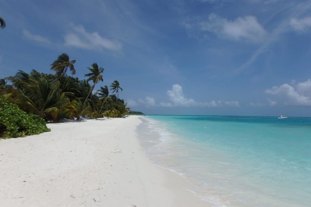 Meeru Island Resort & Spa  Meeru Maldives Resort Island