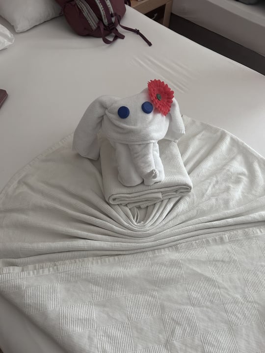 Zimmer Telatiye Resort