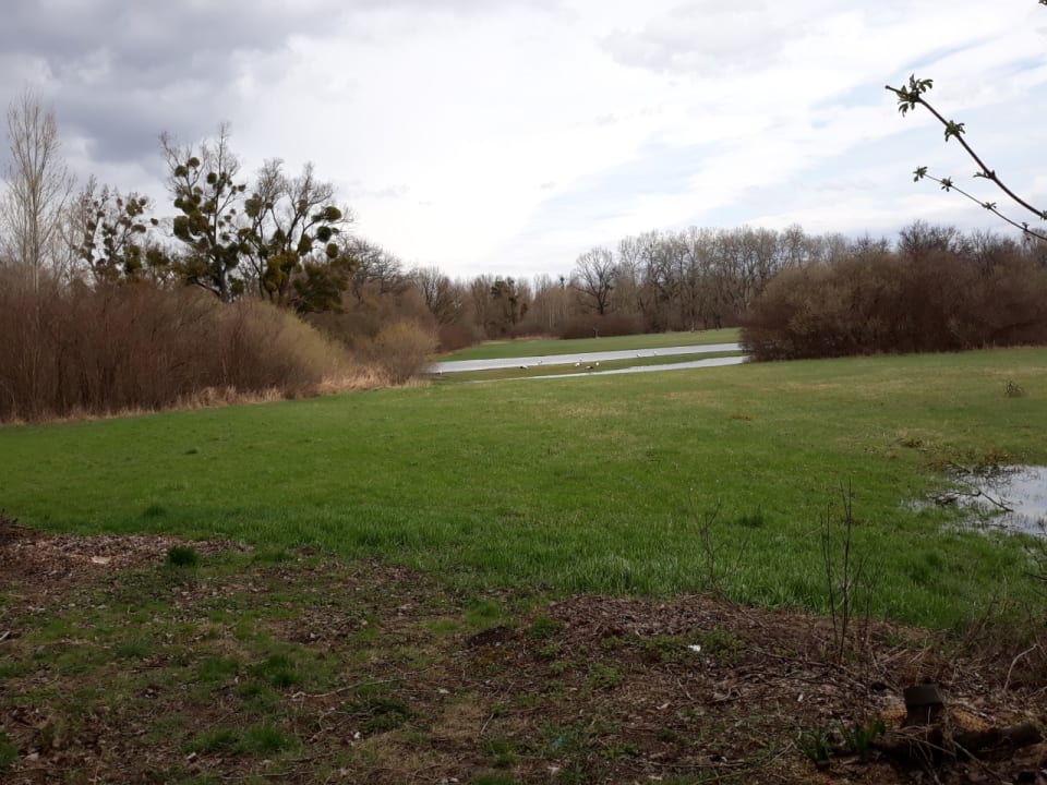 Ausblick Cafe Restaurant Rheinstrom