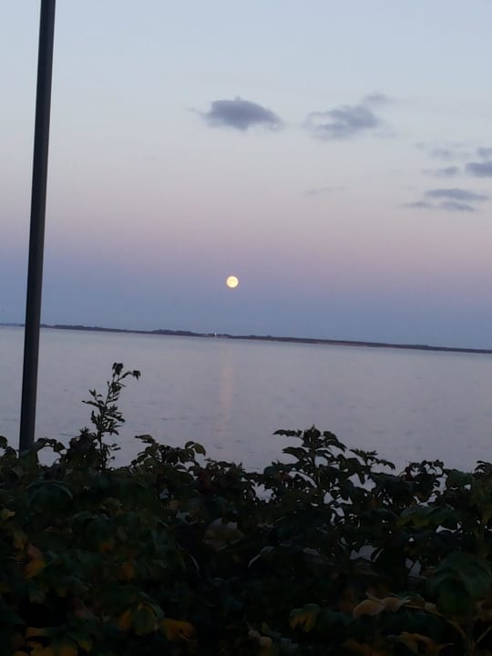 Blick aus dem Wohnzimmer bei Vollmond BEECH Resort Boltenhagen
