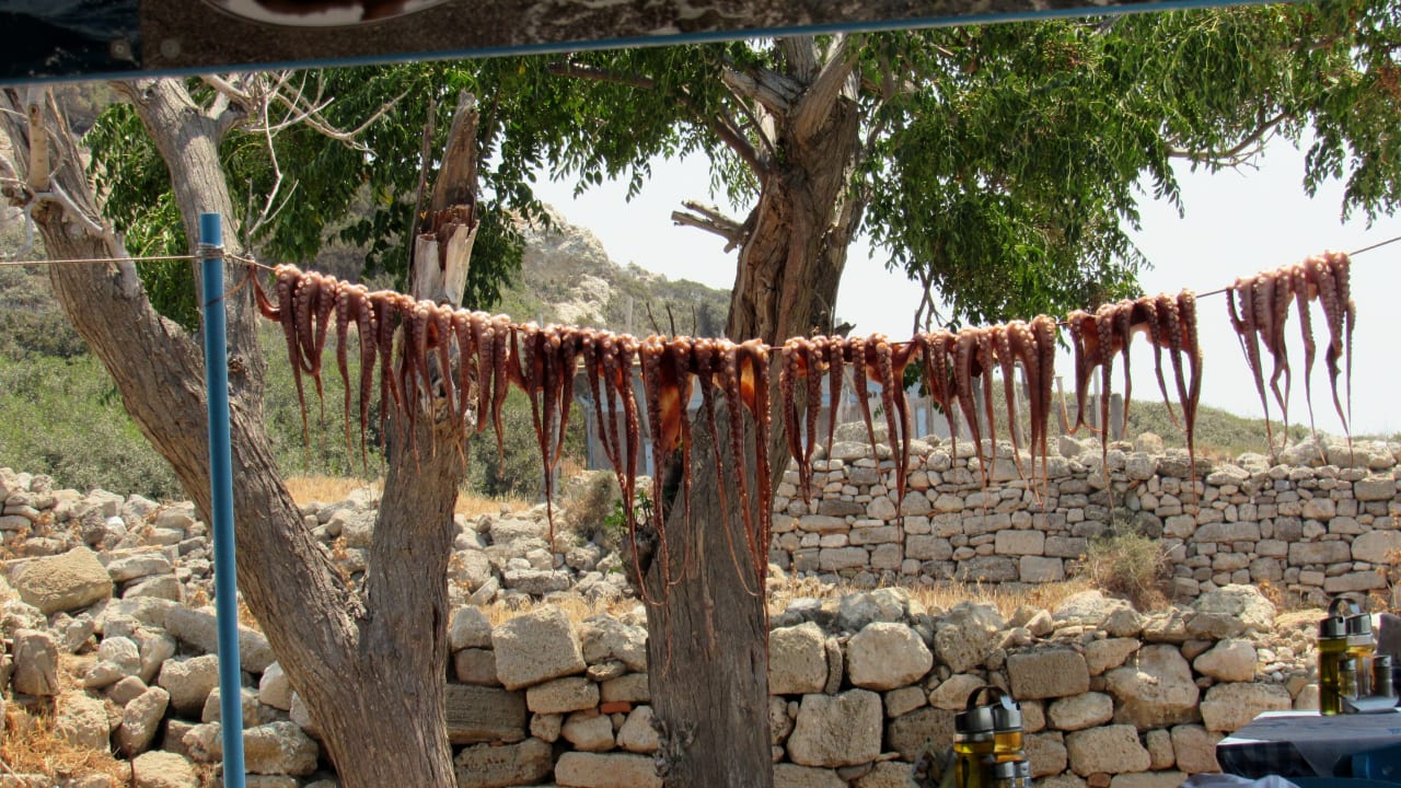 Ausblick Hotel Kalithea Horizon Royal