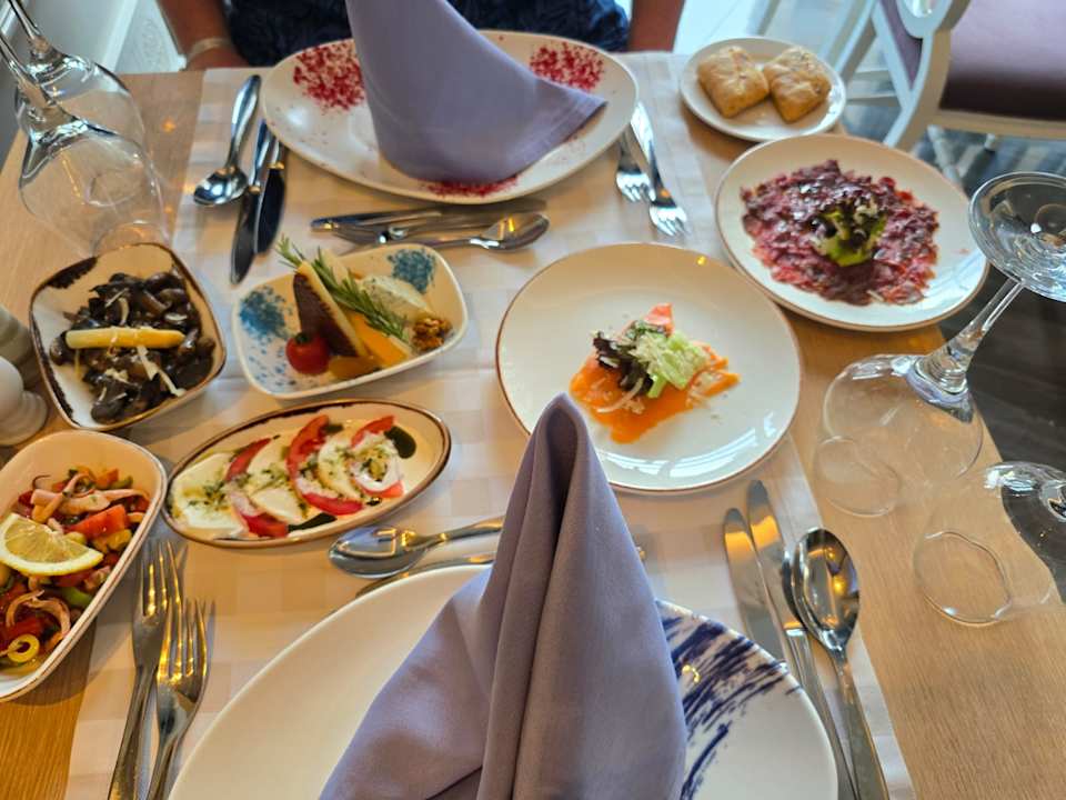 Gastro Seashell Vega