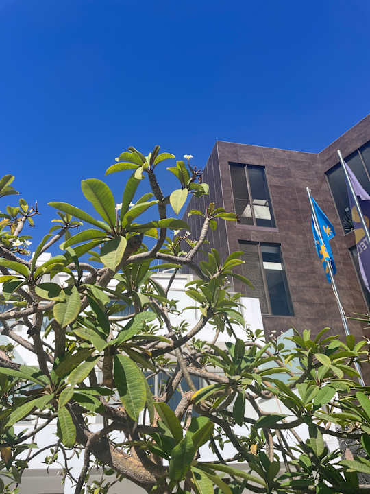 Außenansicht R2 Bahía Playa Design Hotel & Spa - Adults Only