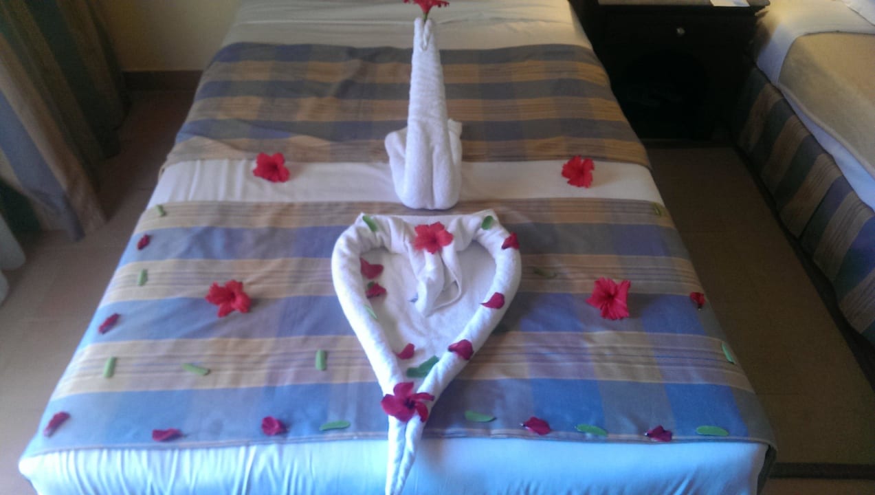 A gift from the cleaning staff  Stella Beach Resort & Spa Makadi Bay