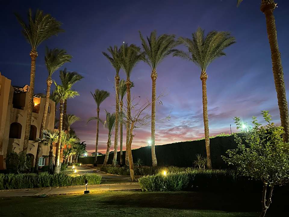 Zimmer Jaz Makadi Oasis Resort